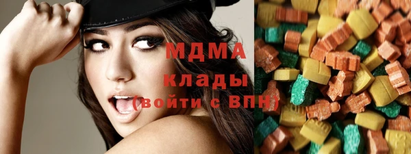 сатива Няндома