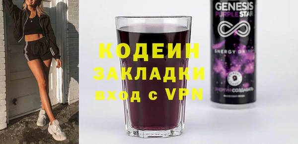 сатива Няндома