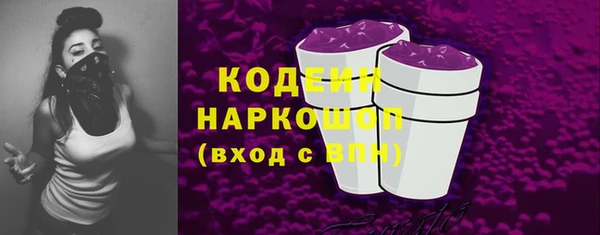 сатива Няндома