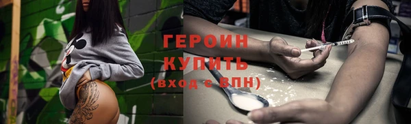 сатива Няндома