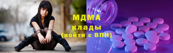 сатива Няндома