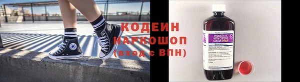 сатива Няндома