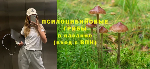 spice Нязепетровск