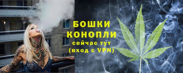 сатива Няндома