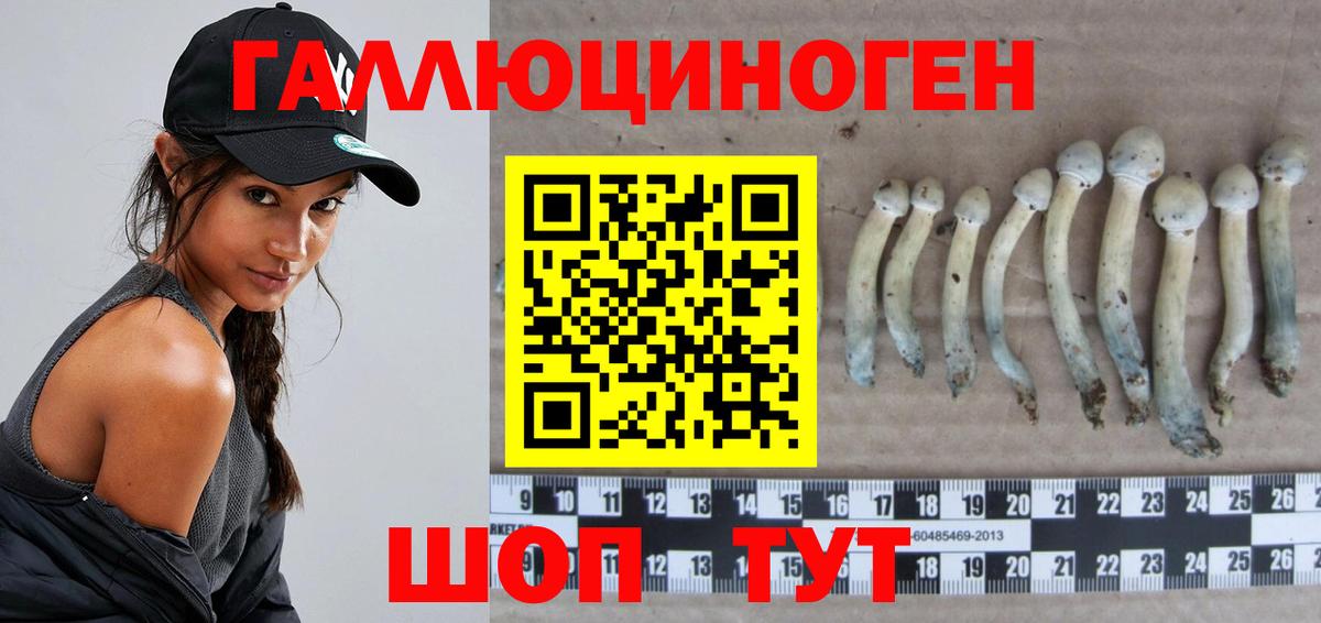 Псилоцибиновые грибы ЛСД  Грязи  Галлюциногенные грибы MAGIC MUSHROOMS 