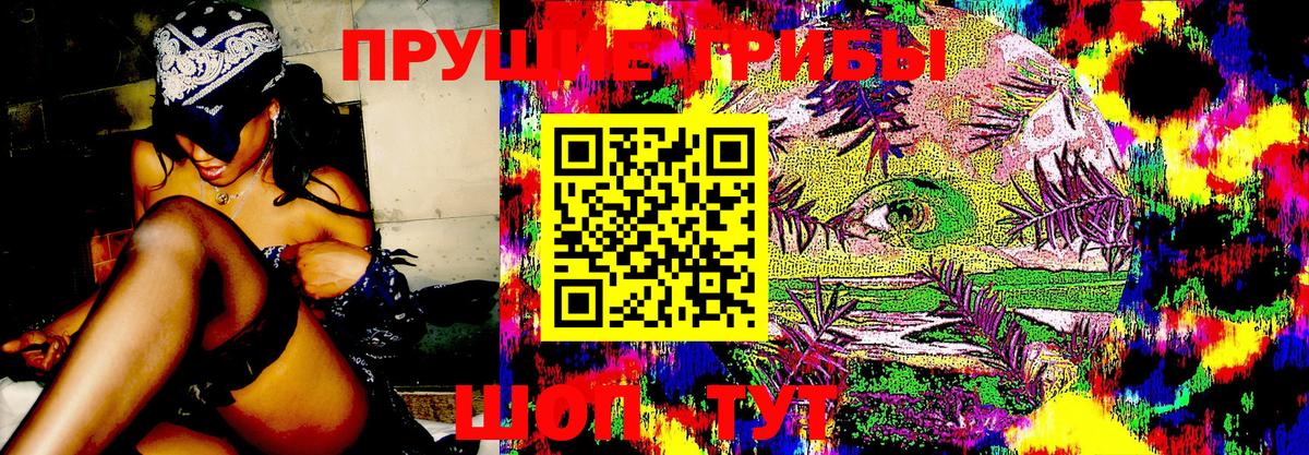 Галлюциногенные грибы MAGIC MUSHROOMS Грязи